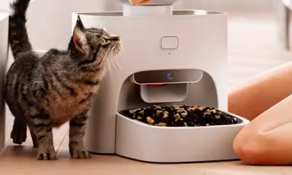 云养猫时代:鸟语花香小方M3可视喂食器 云养猫时代:鸟语花香小方M3可视喂食器