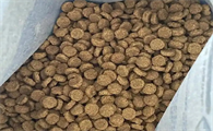 猫粮品牌排行榜：皇家、麦富迪、爱肯拿、伟嘉、渴望上榜