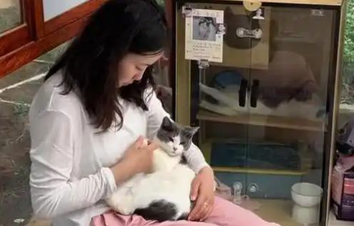 当个快乐“铲屎官”云南农职院里有间“猫咪托儿所” 当个快乐“铲屎官”云南农职院里有间“猫咪托儿所”