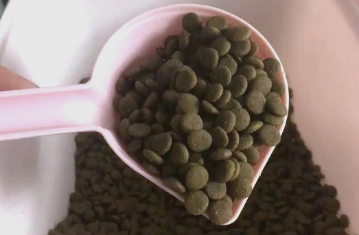 大玛仕狗粮:专为泪痕狗狗设计的健康之选 大玛仕狗粮:专为泪痕狗狗设计的健康之选