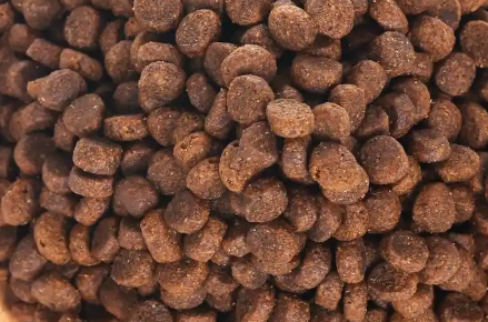 荒野盛宴猫粮：四种肉类的完美融合