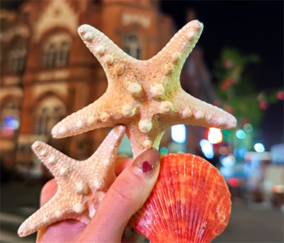 海星的天敌是海绵吗