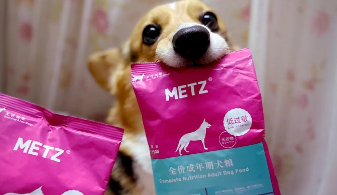 玫斯狗粮:柯基的最爱! 玫斯狗粮:柯基的最爱!
