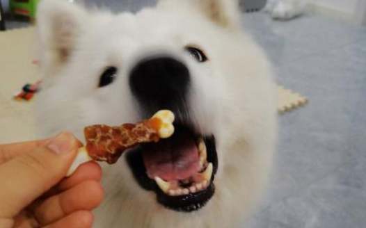 PETOWARDS爱宠私语狗零食安全吗 PETOWARDS爱宠私语狗零食安全吗