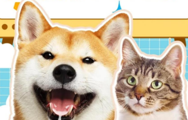 K9黑金狗粮：狗狗的健康之选