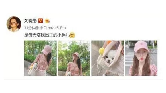 关晓彤也喜欢宠物背包ARKIKA哟~