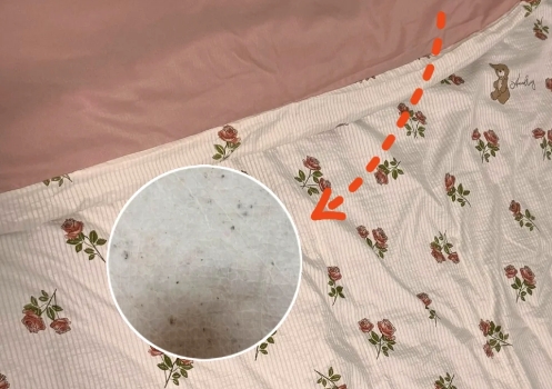 床上有螨虫可以喷酒精吗
