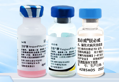 卫佳捌疫苗安全性再获认证：不良反应率低于0.3%