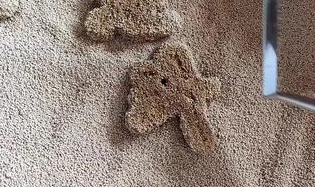 七斗猫砂含甲醛吗
