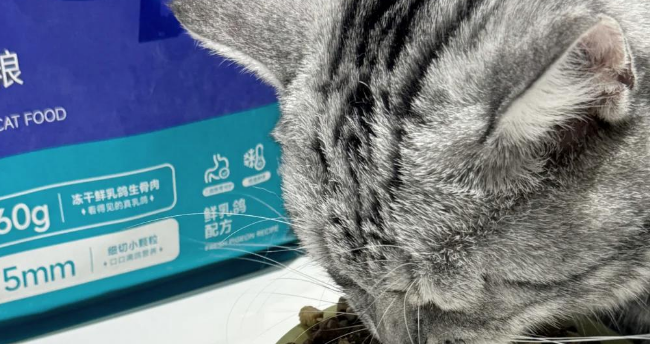 鲜粮说猫粮，帮助猫咪长肉发腮！