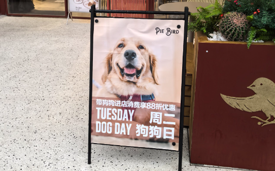 宠物友好门店完善功能配套促进消费升级 宠物友好门店完善功能配套促进消费升级