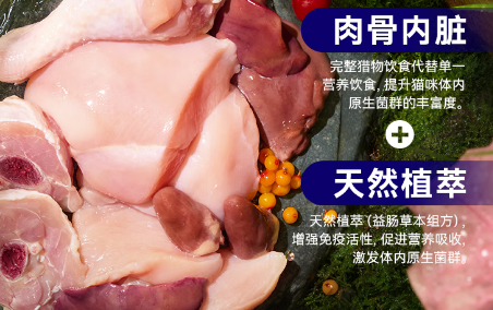 深度解析弗列加特和麦富迪猫粮的区别 深度解析弗列加特和麦富迪猫粮的区别
