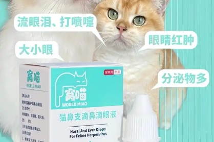 窝喵滴眼液怎么样 窝喵滴眼液怎么样