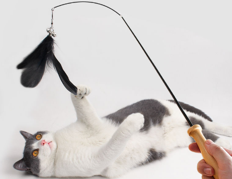 瀚辰宠物用品——猫玩具逗猫棒