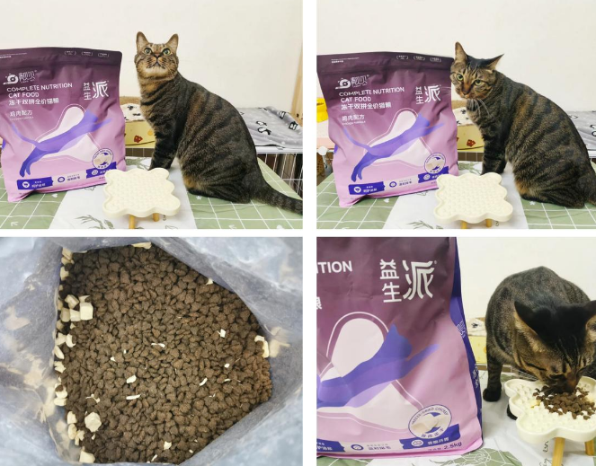靓贝猫粮：猫咪健康的新选择