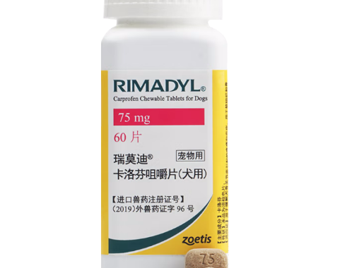 瑞莫迪宠物止疼药和消炎药能一起吃吗 瑞莫迪宠物止疼药和消炎药能一起吃吗