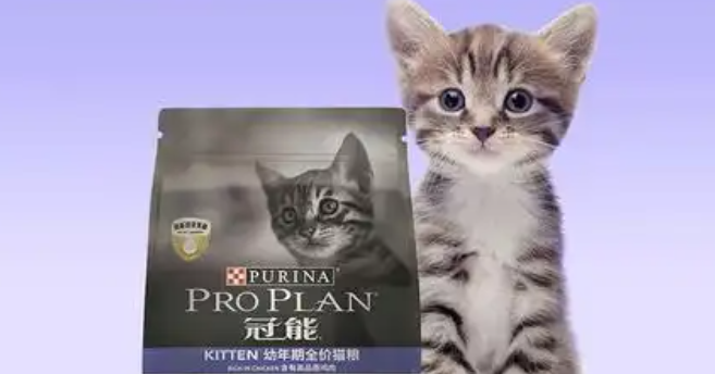 普瑞纳丨喂养理念科学进阶，引领养宠新风尚