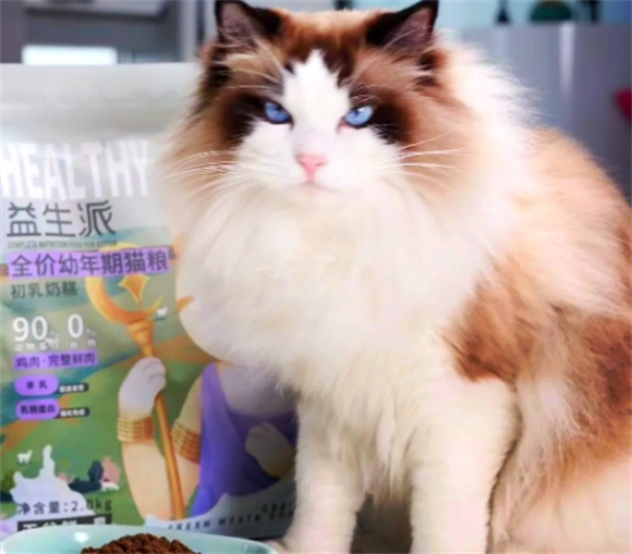 靓贝猫粮:无谷鲜乳养猫新选择 靓贝猫粮:无谷鲜乳养猫新选择