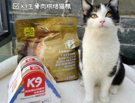 猫咪主食升级！主食K9烘焙粮大不同