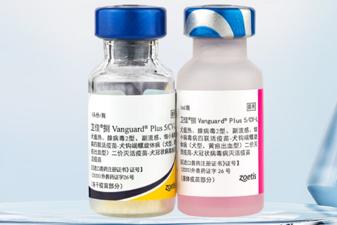 卫佳捌宠物疫苗：八重防护守护犬只健康防线