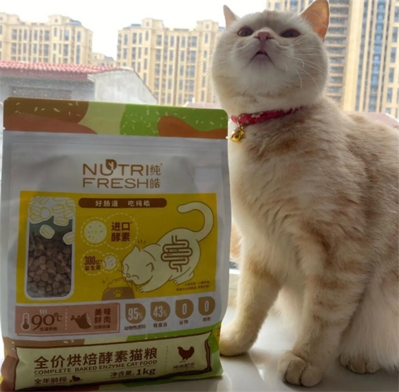 纯皓猫粮体验，猫咪新宠！