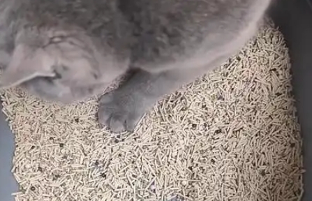 唐米吉吉猫砂好用吗 唐米吉吉猫砂好用吗