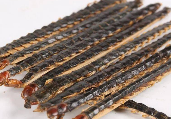 药用蜈蚣多少钱一克