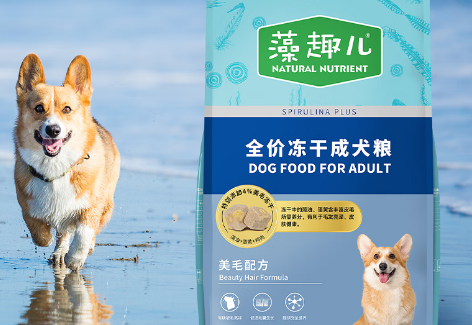 麦富迪冻干狗粮泰迪专用:泰迪犬的专属美味营养 麦富迪冻干狗粮泰迪专用:泰迪犬的专属美味营养