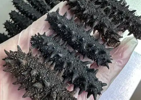 80个头的干海参多少钱一斤