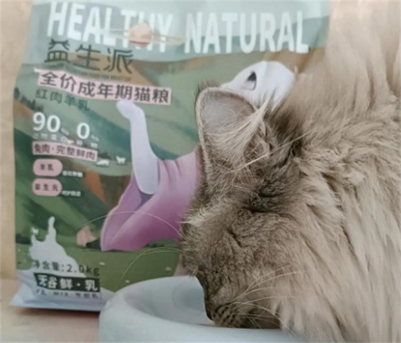 猫咪的新宠：益生派靓贝猫粮体验分享
