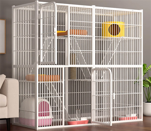 猫橘狗猫笼子用什么消毒最好 猫橘狗猫笼子用什么消毒最好