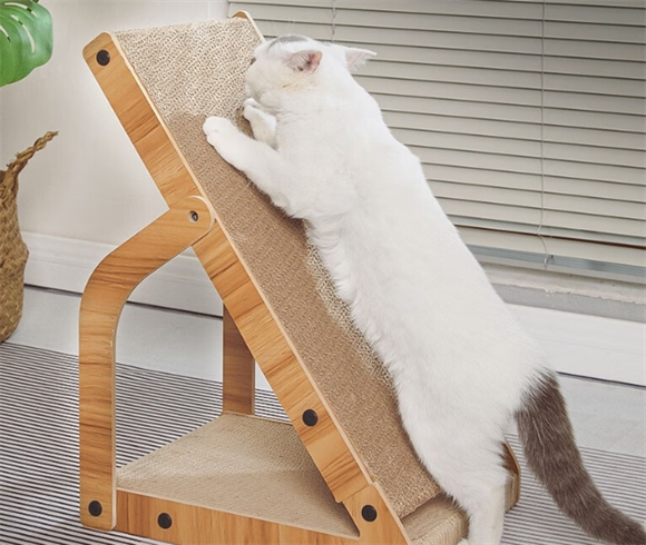 汤琪猫抓板有必要买吗