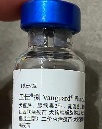 卫佳捌疫苗多少钱一针