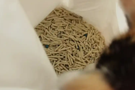 慕奥猫砂建议买吗 慕奥猫砂建议买吗