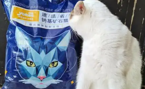 怡享扑扑猫砂属于什么档次
