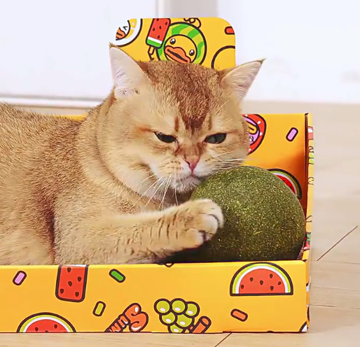 卡瓦图猫薄荷球能吃吗 卡瓦图猫薄荷球能吃吗