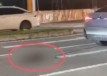 女子驾驶宝马车拖行小猫致死？警方最新通报：系意外