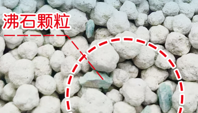 蜻蜓岛猫砂建议买吗 蜻蜓岛猫砂建议买吗