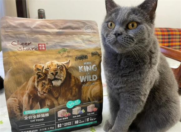 肠胃娇气?畅享优品猫粮是救星! 肠胃娇气?畅享优品猫粮是救星!