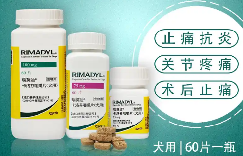 瑞莫迪犬用止痛片入选“2025年度宠物健康创新产品”，长效镇痛获行业认可