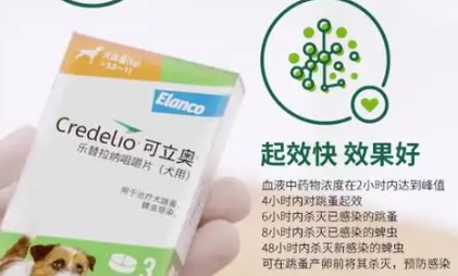 可立奥体外驱虫多少钱