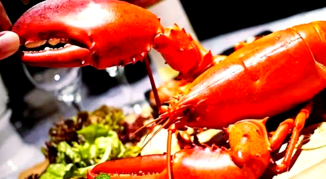 波士顿龙虾多少一只 波士顿龙虾多少一只