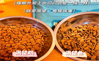 猫咪静默期也要换猫粮，从渴望鸡到渴望鱼