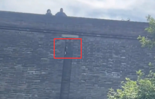 旅游偶遇爬城墙的猫咪。猫:无人扶猫凌云志,我自踏雪上山巅 旅游偶遇爬城墙的猫咪。猫:无人扶猫凌云志,我自踏雪上山巅