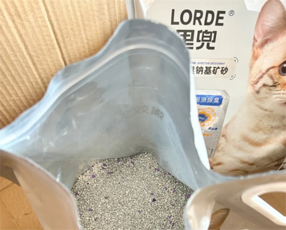 里兜猫砂测评：四款热门产品对比