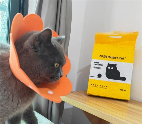 养猫必备:不劳混合猫砂真实体验 养猫必备:不劳混合猫砂真实体验