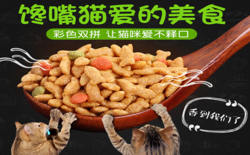 桐汝壁