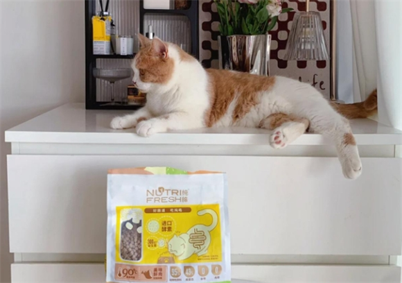 纯皓烘焙酵素猫粮,铲屎官们的福音! 纯皓烘焙酵素猫粮,铲屎官们的福音!