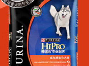 普瑞纳丨喂养理念科学进阶，引领养宠新风尚