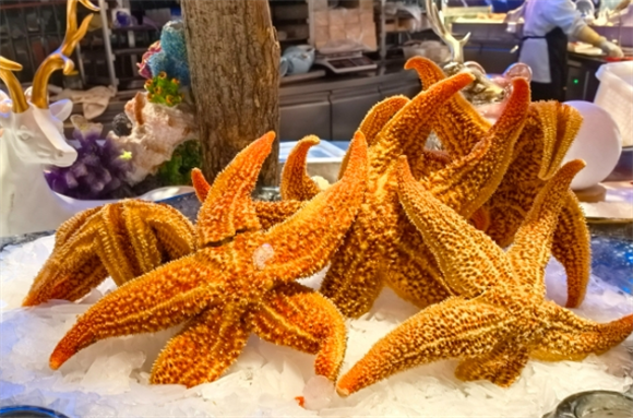 海星吃东西的样子的视频